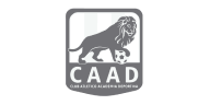 CAAD